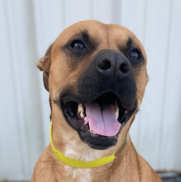 Our Team Brad's Electric